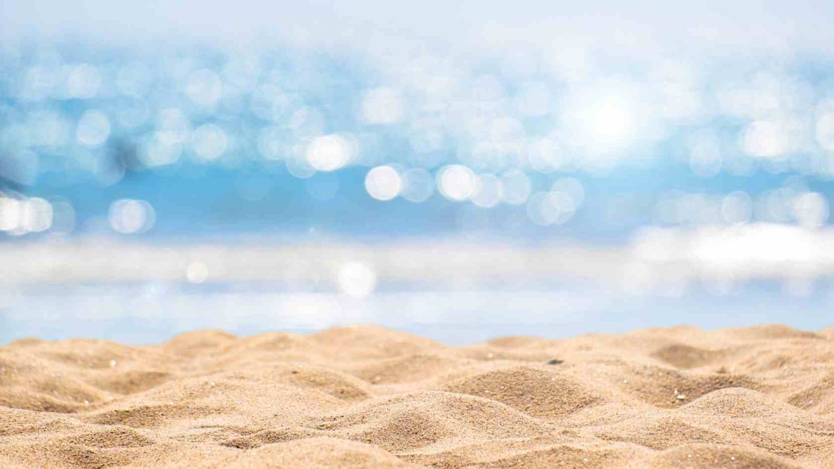FELIZ VERANO